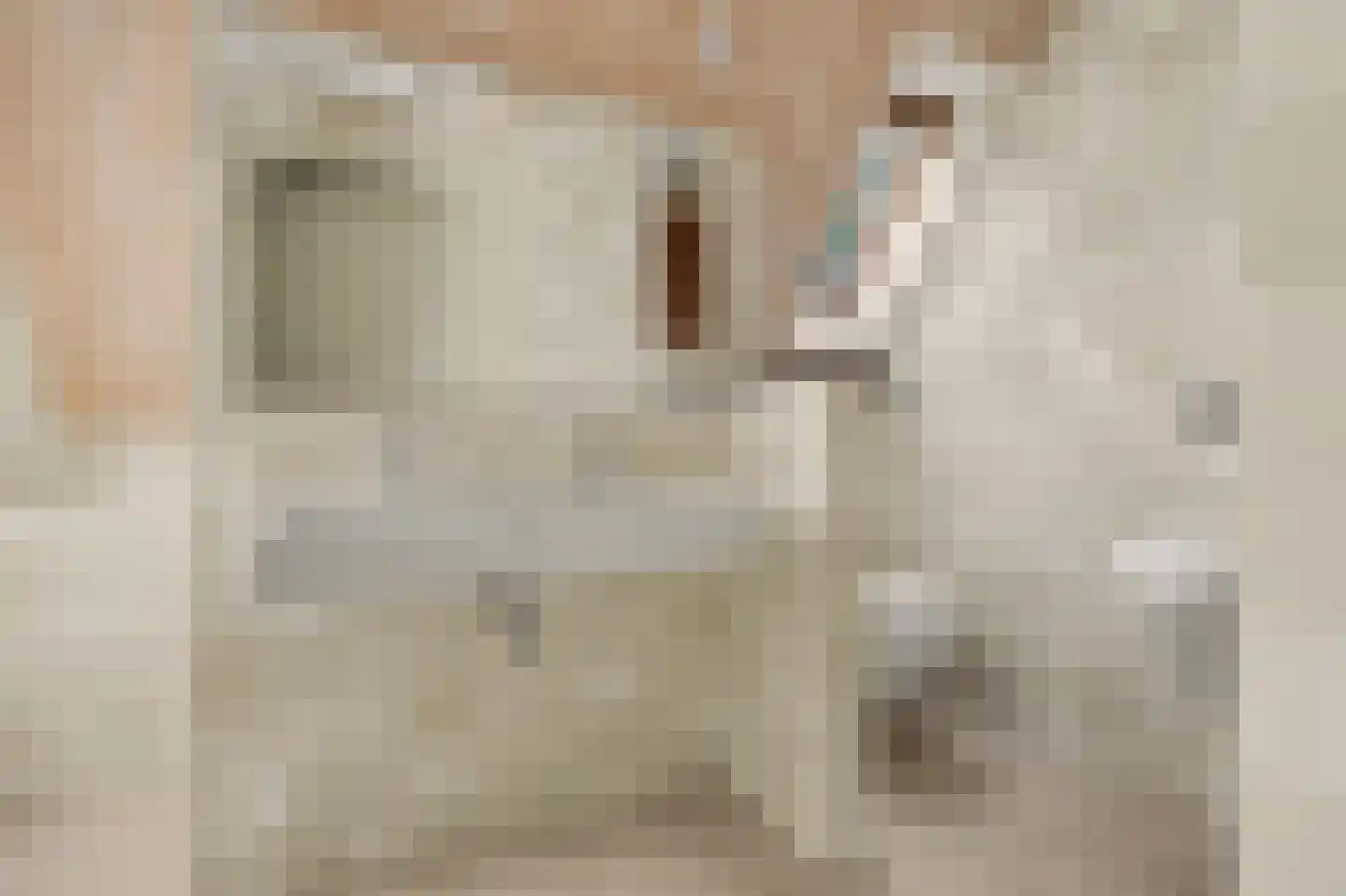 Jan van Wijckstraat 1 Elshout thumbnail 28