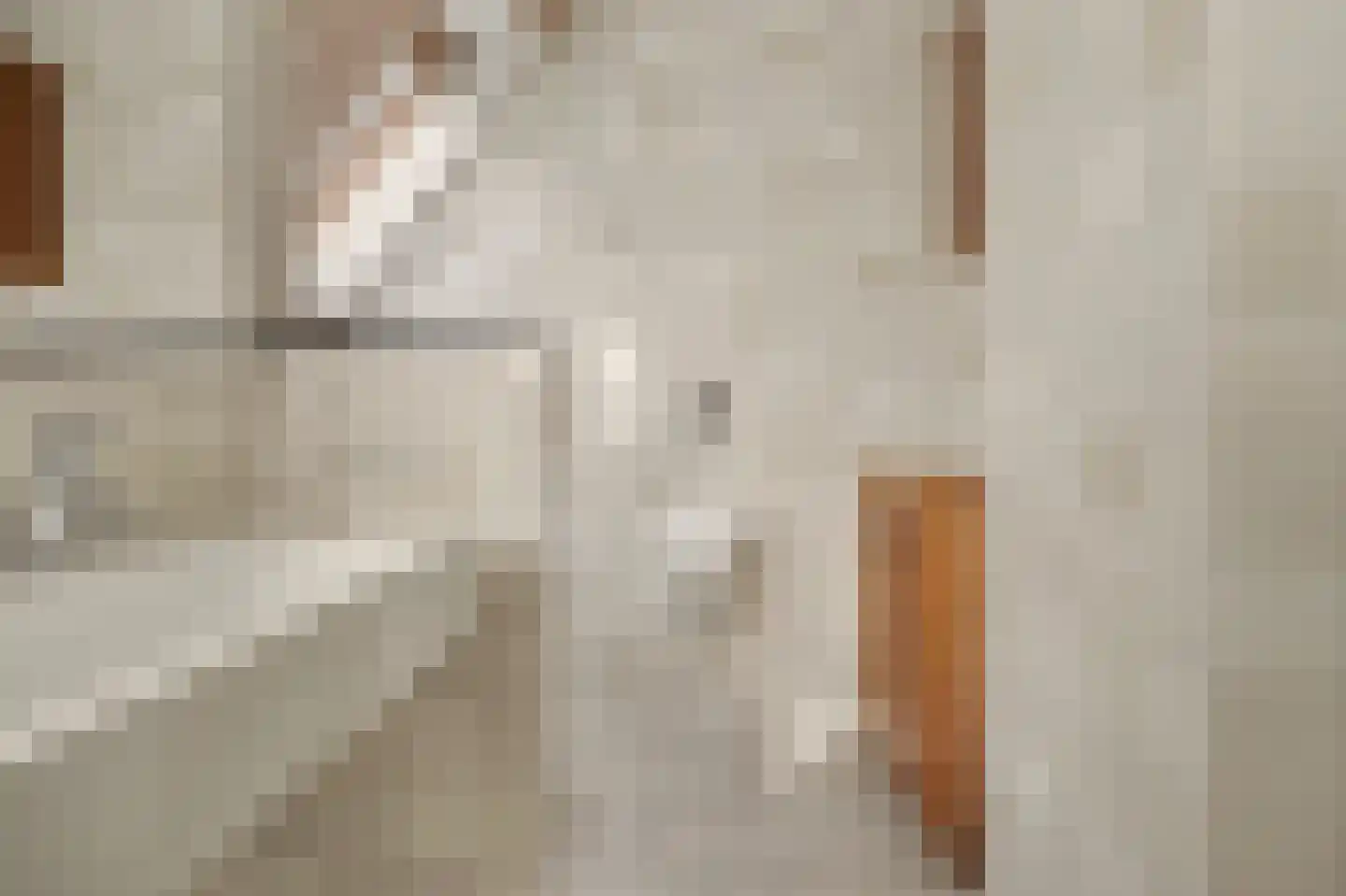 Jan van Wijckstraat 1 Elshout thumbnail 29