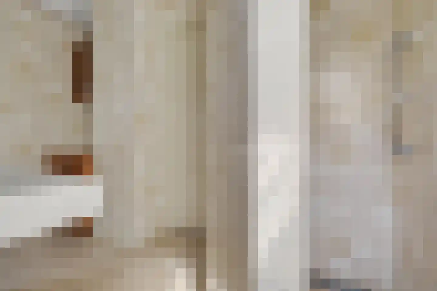 Jan van Wijckstraat 1 Elshout thumbnail 30