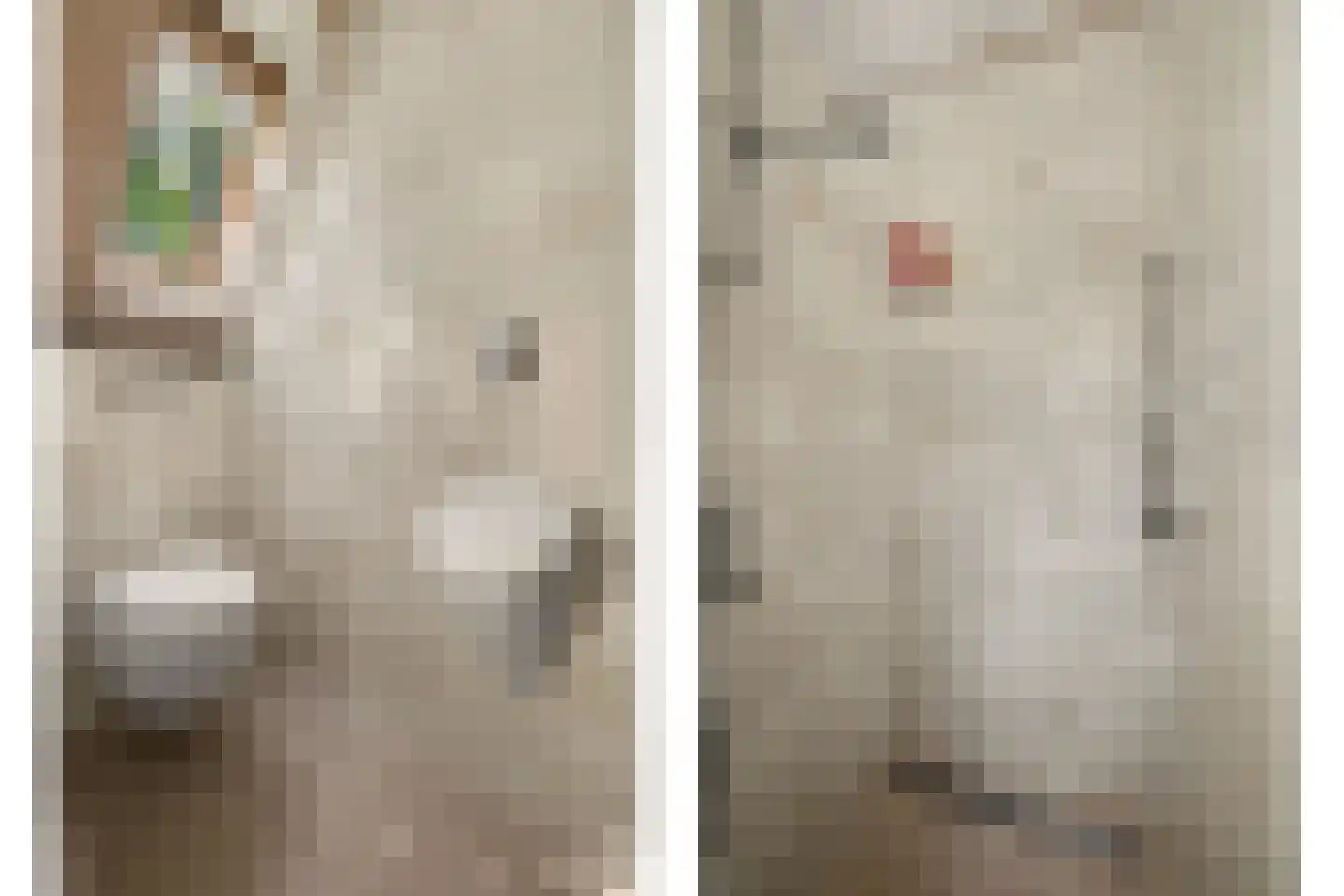 Jan van Wijckstraat 1 Elshout thumbnail 31