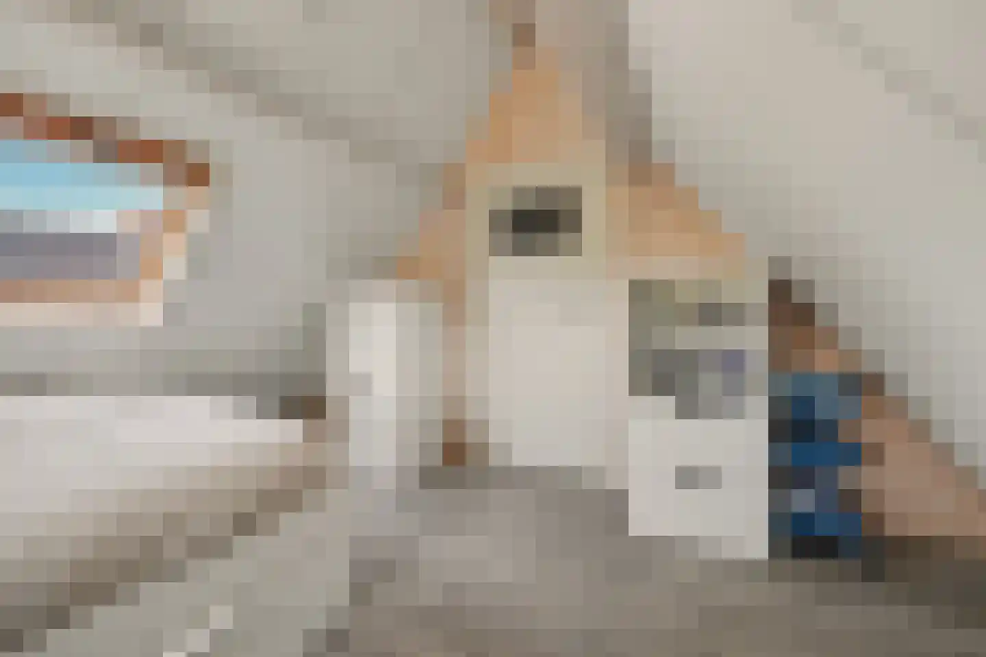 Jan van Wijckstraat 1 Elshout thumbnail 37