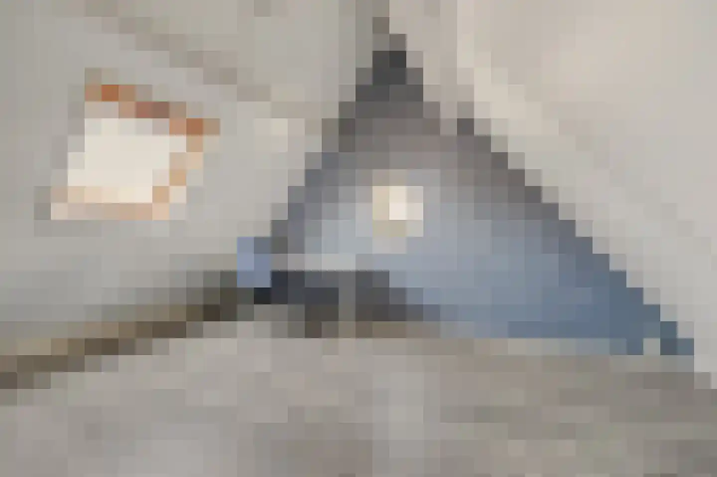 Jan van Wijckstraat 1 Elshout thumbnail 38