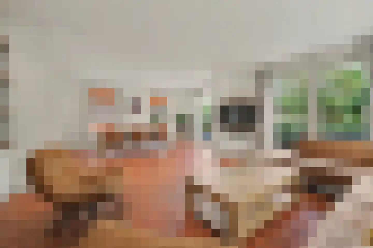 Jan van Wijckstraat 1 Elshout thumbnail 4