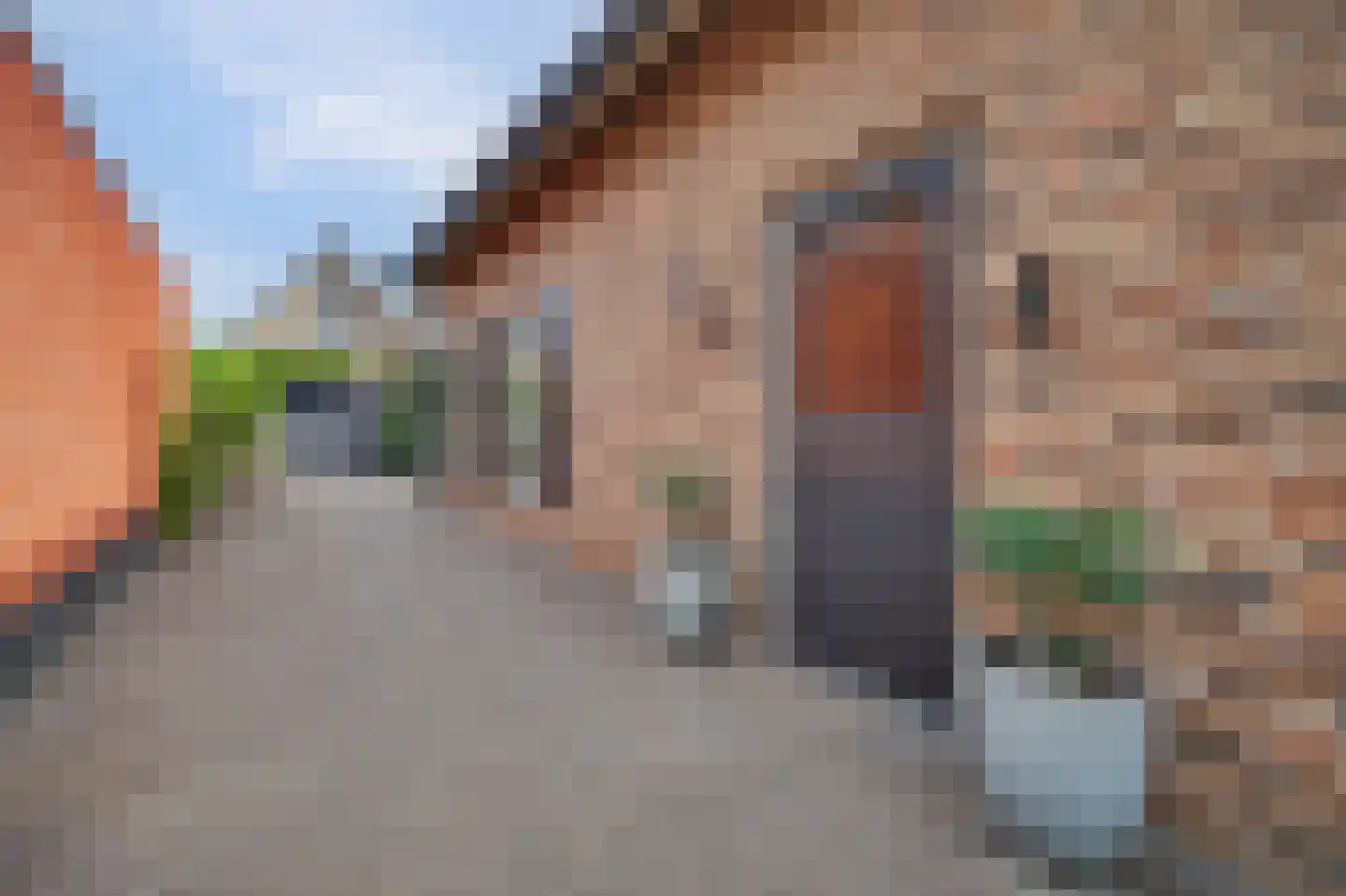 Jan van Wijckstraat 1 Elshout thumbnail 54