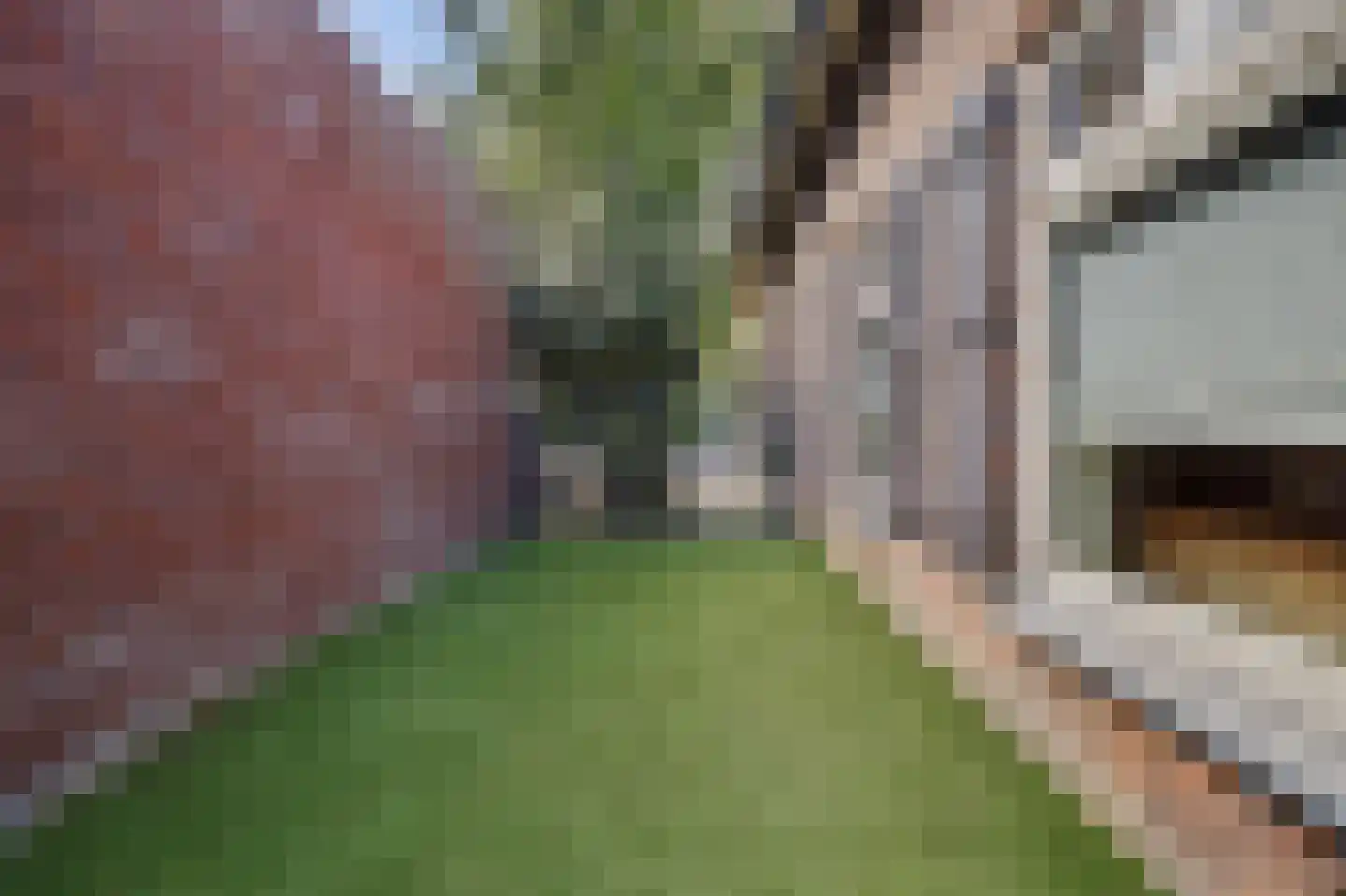 Jan van Wijckstraat 1 Elshout thumbnail 55