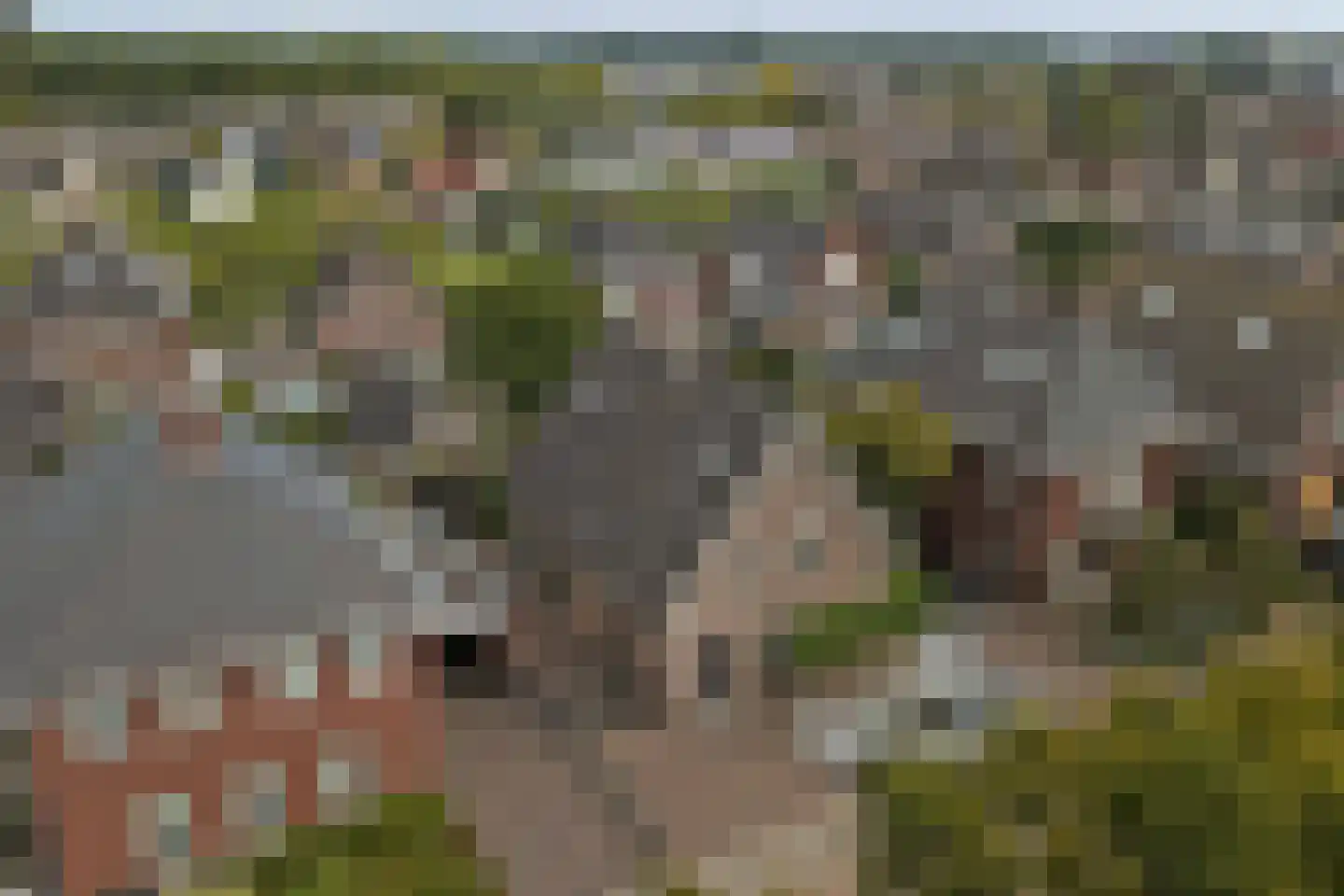Jan van Wijckstraat 1 Elshout thumbnail 61
