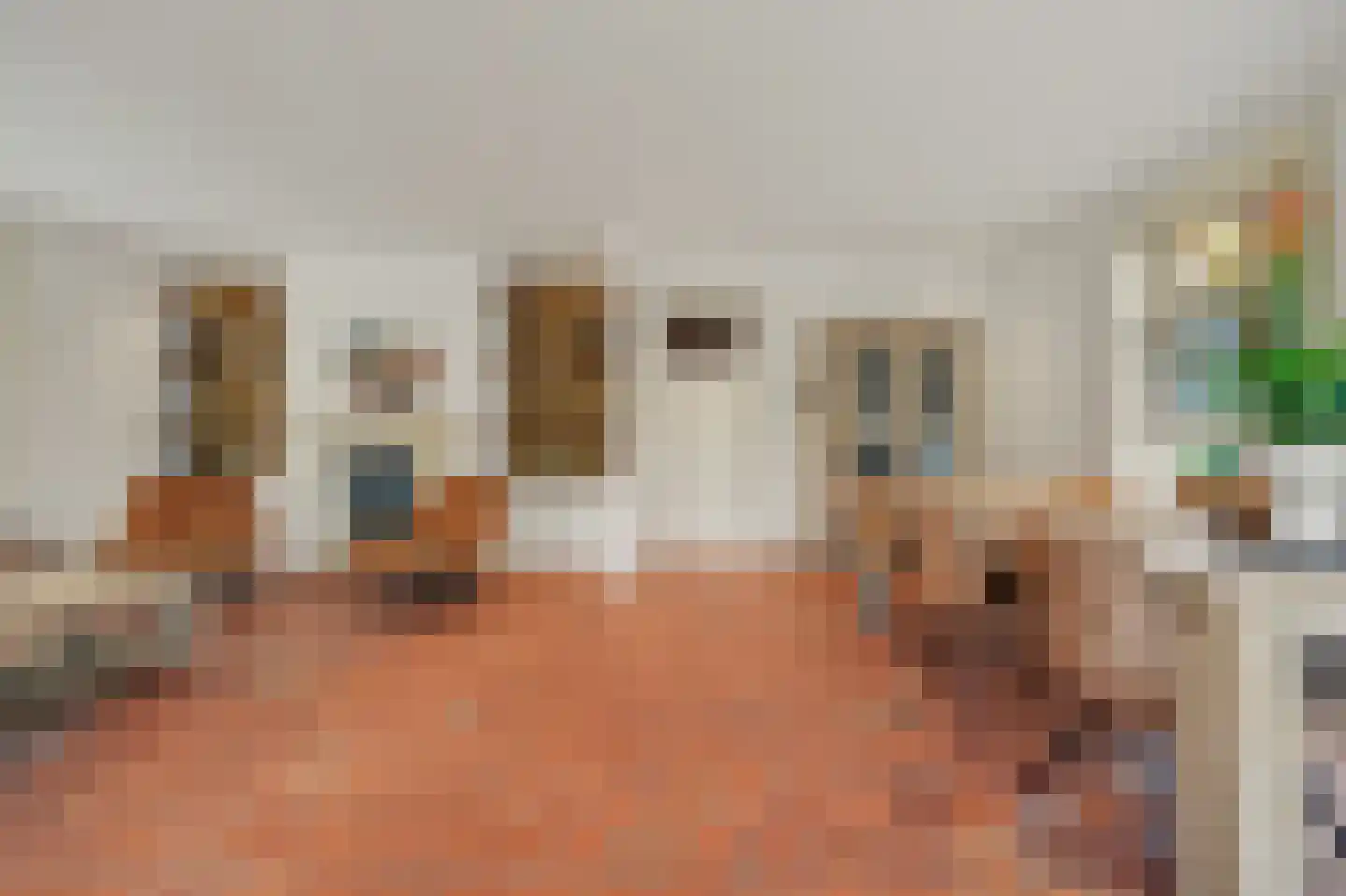 Jan van Wijckstraat 1 Elshout thumbnail 8