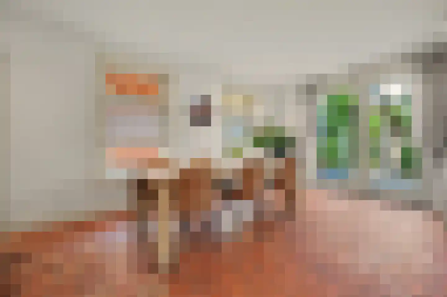 Jan van Wijckstraat 1 Elshout thumbnail 9