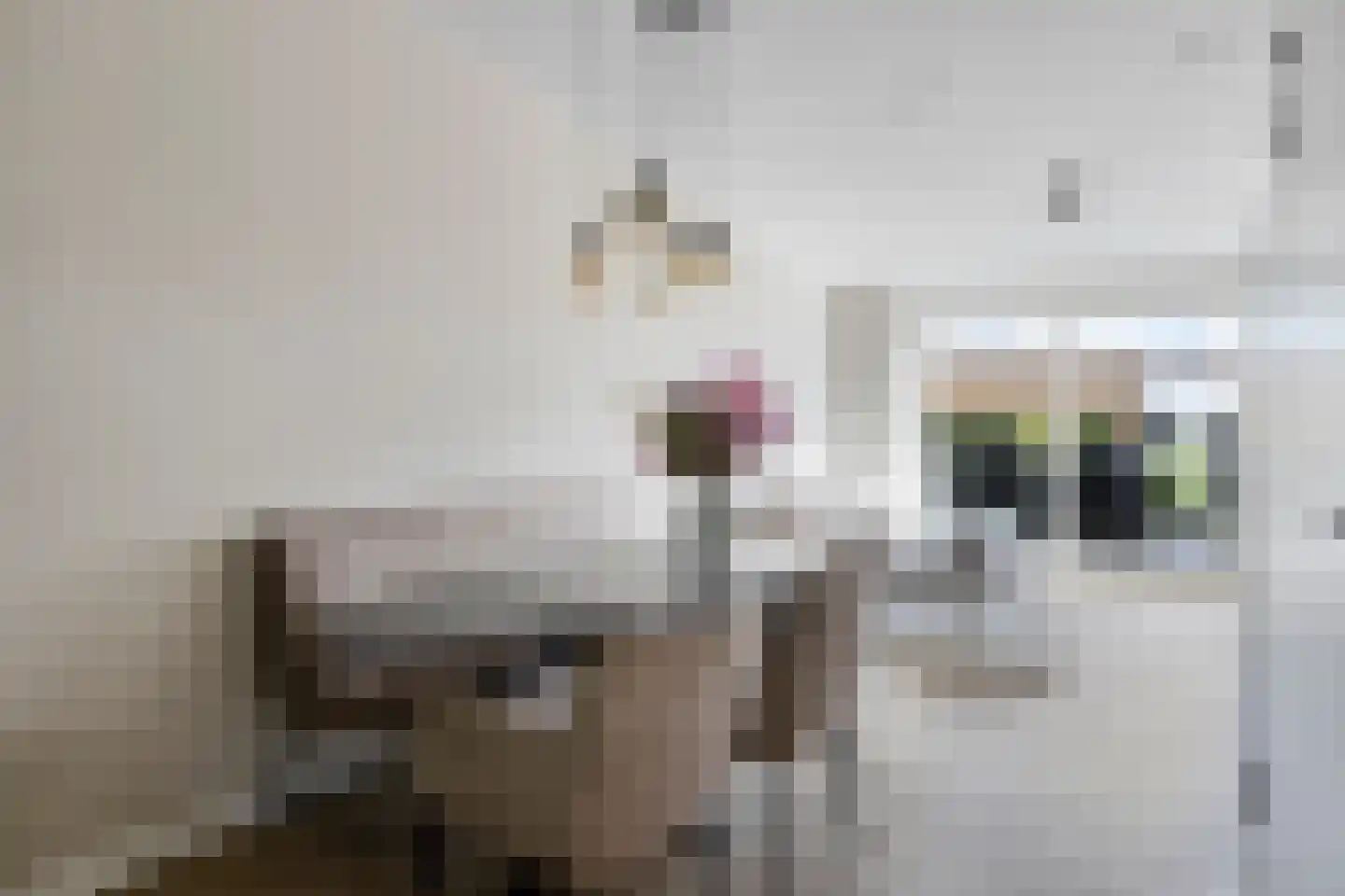 Jan van Wijckstraat 24 Elshout thumbnail 16