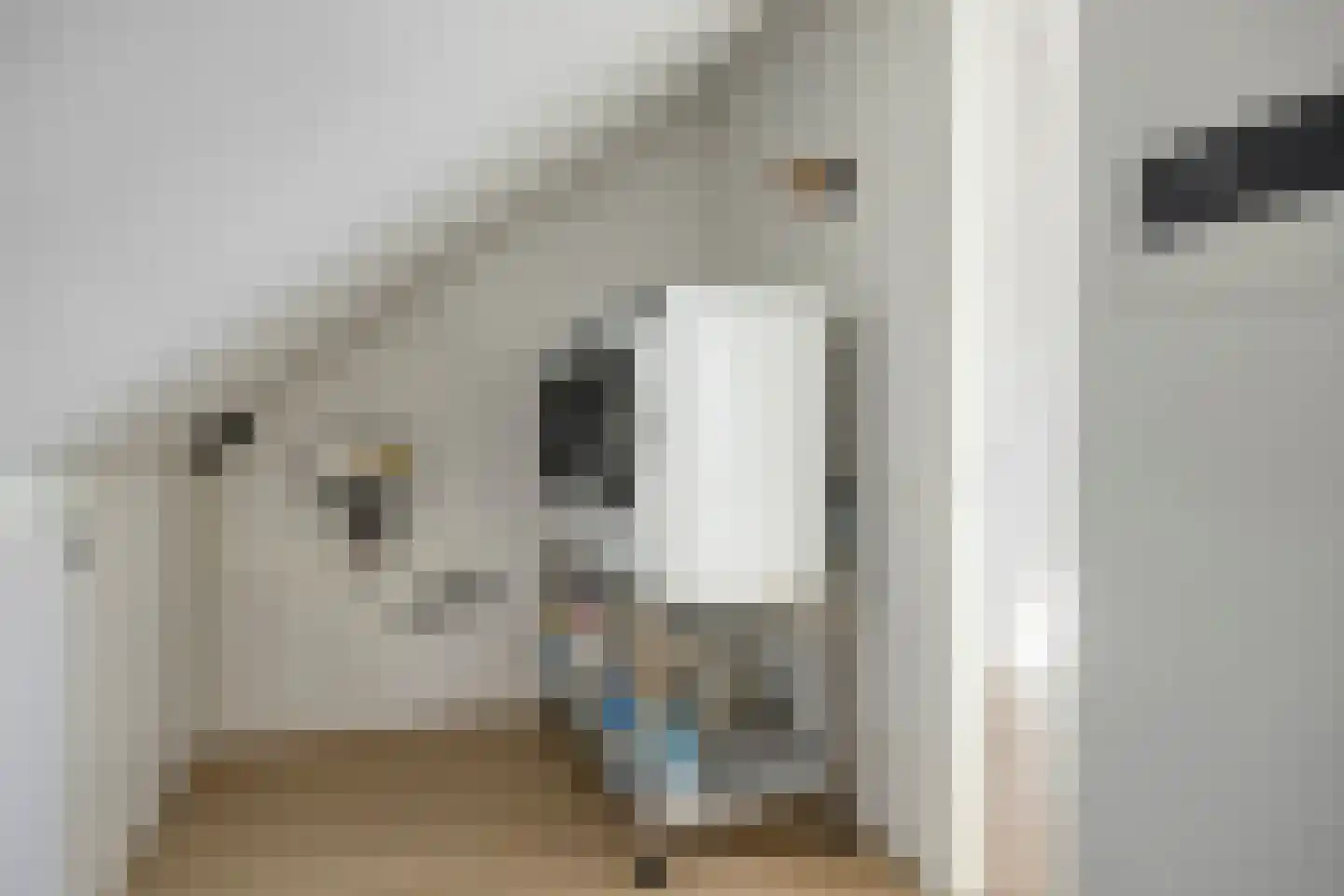 Jan van Wijckstraat 24 Elshout thumbnail 34