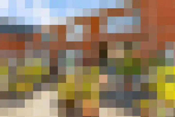 Jan van Zutphenlaan 15 Utrecht thumbnail 12
