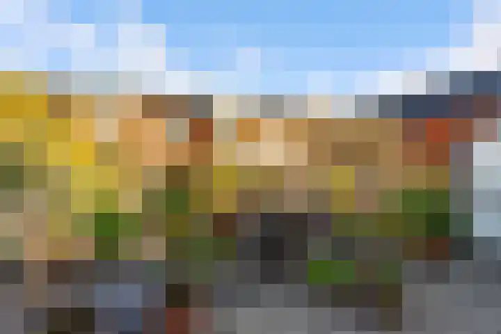 Jan van Zutphenlaan 15 Utrecht thumbnail 14