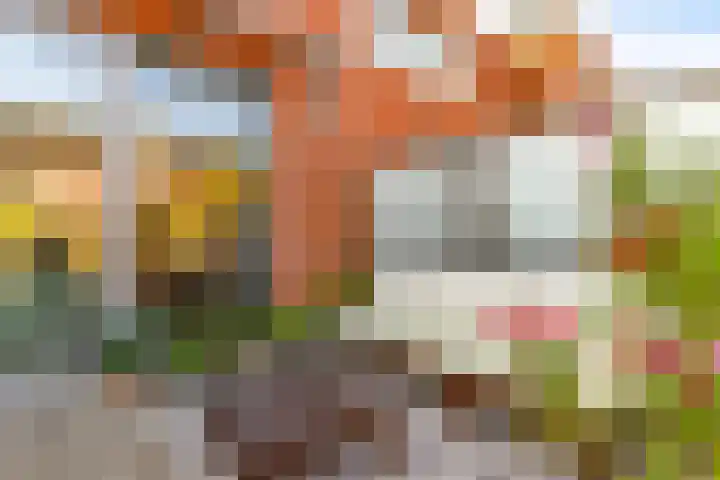 Jan van Zutphenlaan 15 Utrecht thumbnail 15