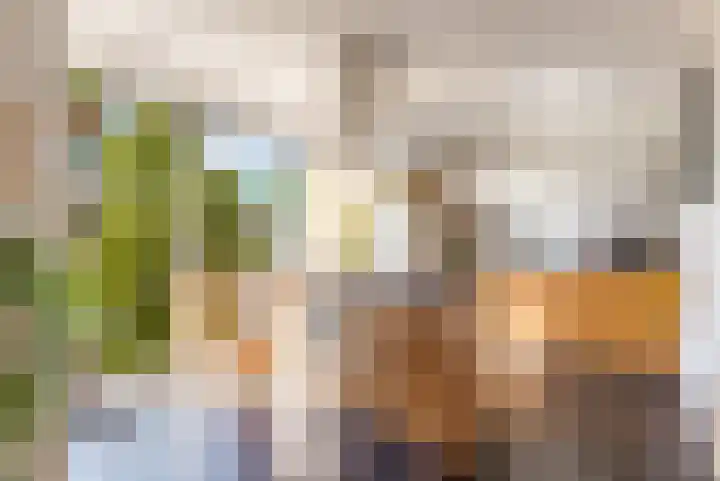 Jan van Zutphenlaan 15 Utrecht thumbnail 21