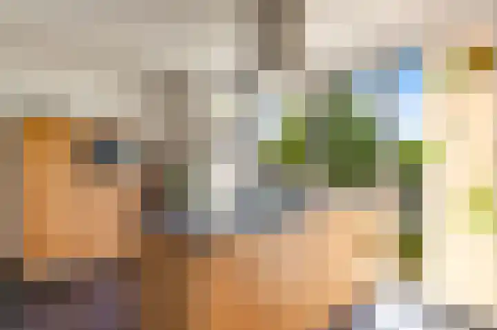 Jan van Zutphenlaan 15 Utrecht thumbnail 22