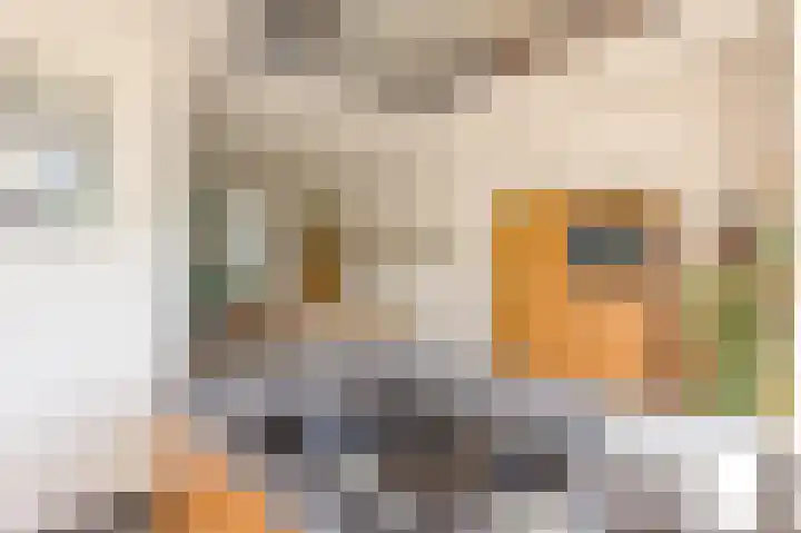 Jan van Zutphenlaan 15 Utrecht thumbnail 24