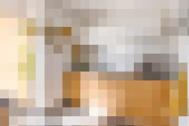 Jan van Zutphenlaan 15 Utrecht thumbnail 25