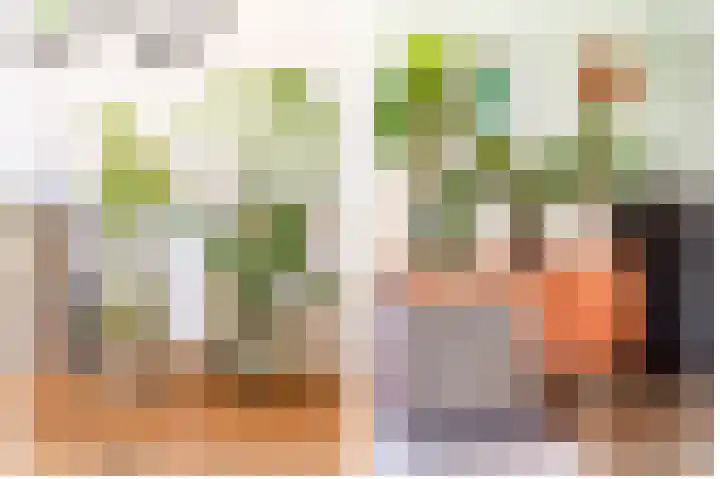 Jan van Zutphenlaan 15 Utrecht thumbnail 27