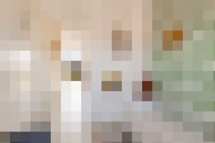 Jan van Zutphenlaan 15 Utrecht thumbnail 33