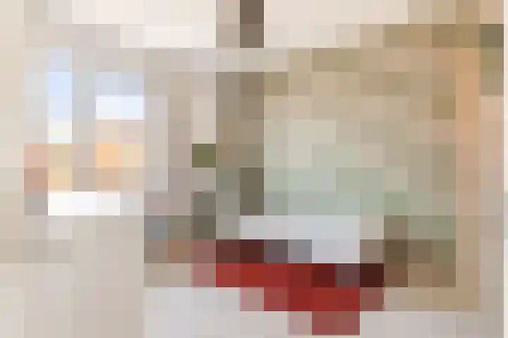 Jan van Zutphenlaan 15 Utrecht thumbnail 36