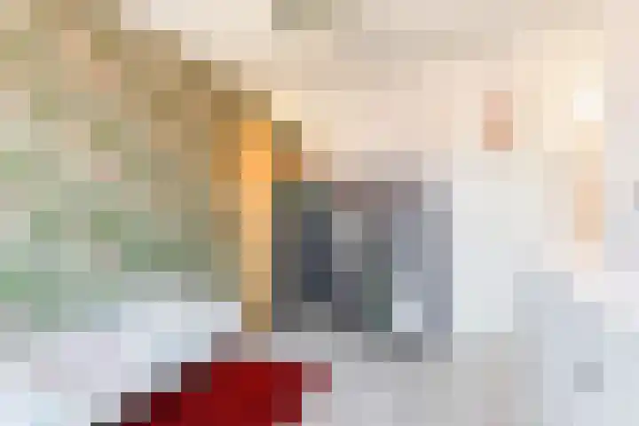Jan van Zutphenlaan 15 Utrecht thumbnail 38