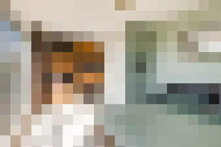 Jan van Zutphenlaan 15 Utrecht thumbnail 42