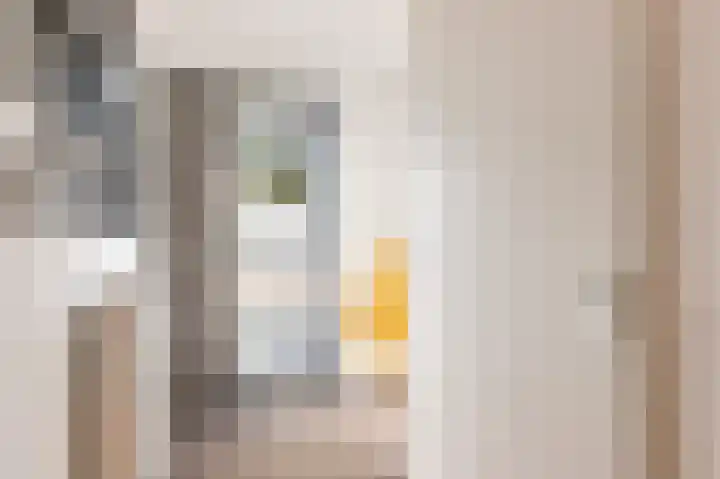 Jan van Zutphenlaan 15 Utrecht thumbnail 58