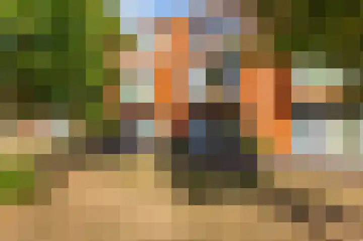 Jan van Zutphenlaan 15 Utrecht thumbnail 59