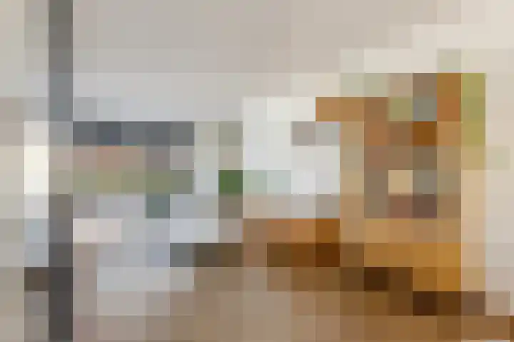 Jan van Zutphenlaan 15 Utrecht thumbnail 6