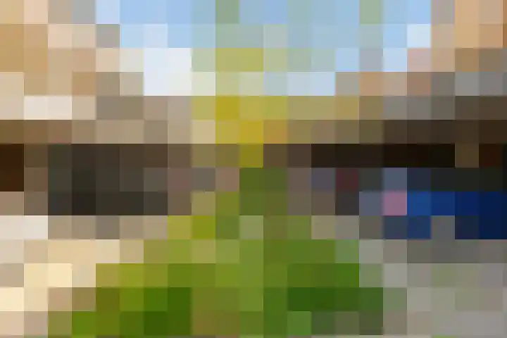 Jan van Zutphenlaan 15 Utrecht thumbnail 62