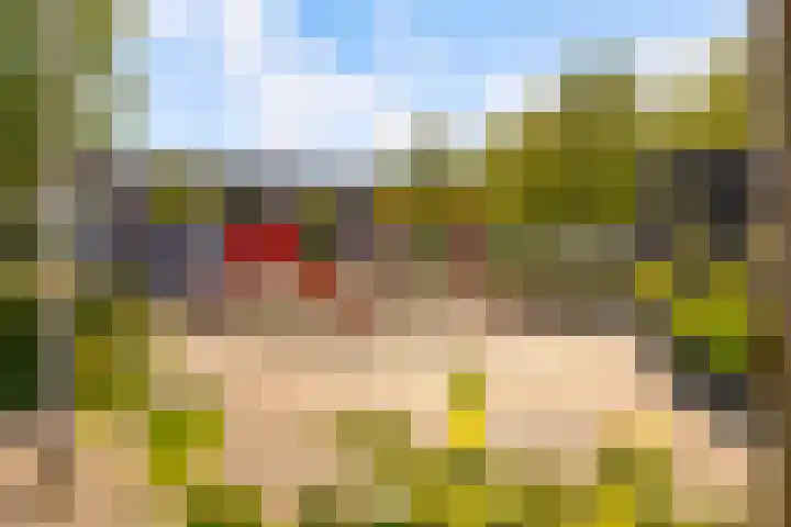 Jan van Zutphenlaan 15 Utrecht thumbnail 66