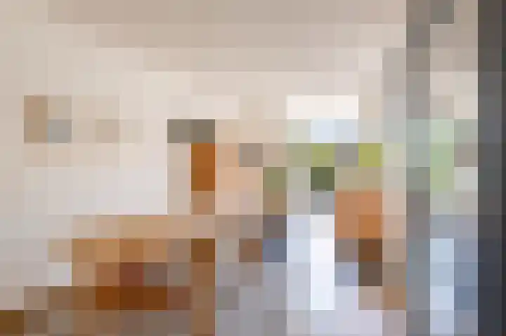 Jan van Zutphenlaan 15 Utrecht thumbnail 7
