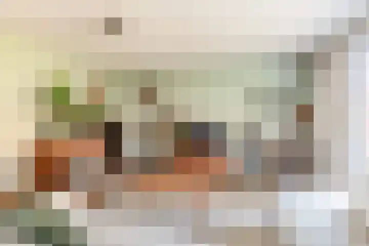 Jan van Zutphenlaan 15 Utrecht thumbnail 9
