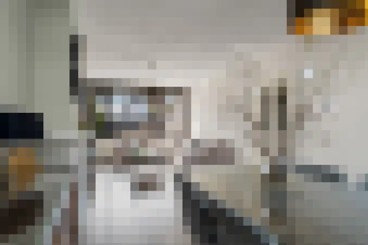 Jan van Zutphenlaan 16 Utrecht thumbnail 20