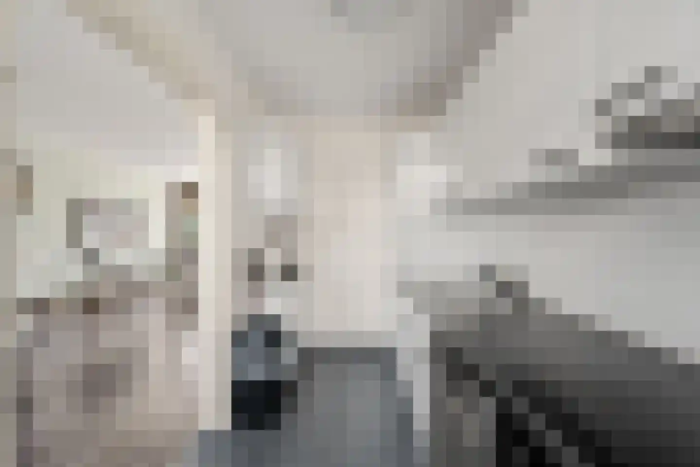 Jan van Zutphenlaan 16 Utrecht thumbnail 24
