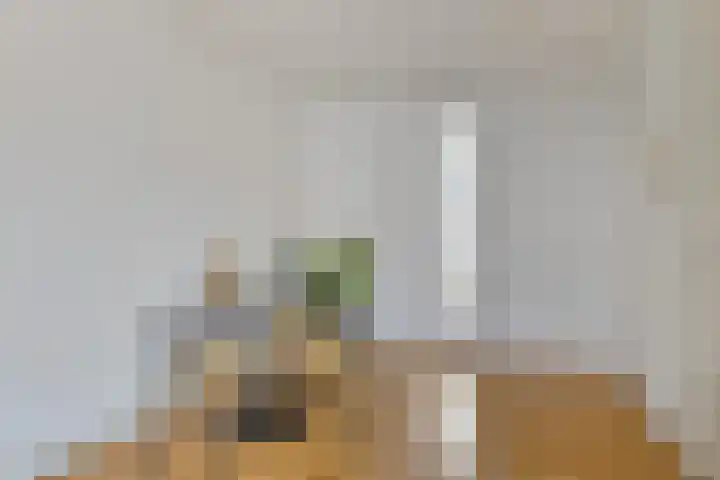 Jan van Zutphenlaan 21 A Utrecht thumbnail 13