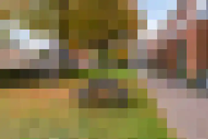 Jan van Zutphenlaan 21 A Utrecht thumbnail 23