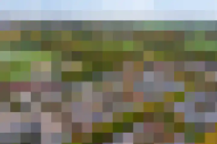 Jan van Zutphenlaan 21 A Utrecht thumbnail 27