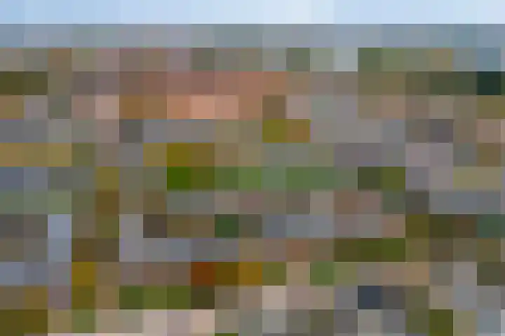 Jan van Zutphenlaan 21 A Utrecht thumbnail 28