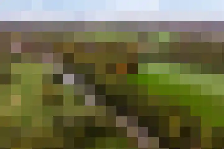 Jan van Zutphenlaan 21 A Utrecht thumbnail 31