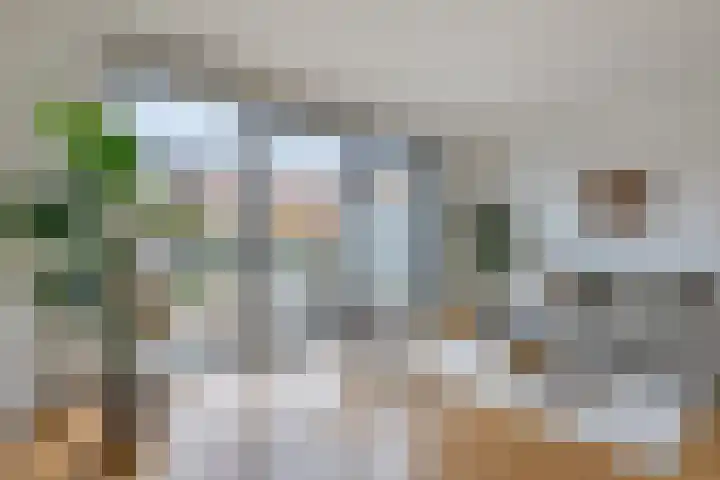 Jan van Zutphenlaan 21 A Utrecht thumbnail 6