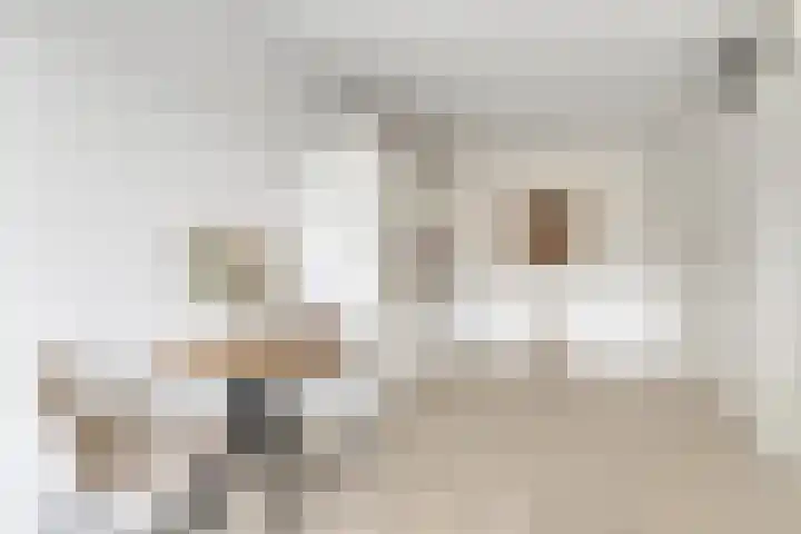 Jan van Zutphenlaan 21 B Utrecht thumbnail 13