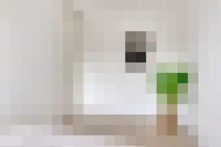 Jan van Zutphenlaan 21 B Utrecht thumbnail 19