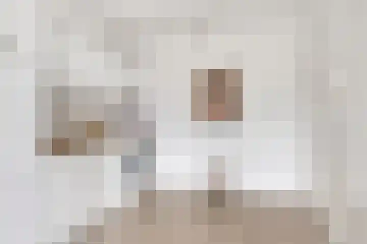Jan van Zutphenlaan 21 B Utrecht thumbnail 6