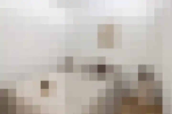 Jan van Zutphenlaan 21 Utrecht thumbnail 4