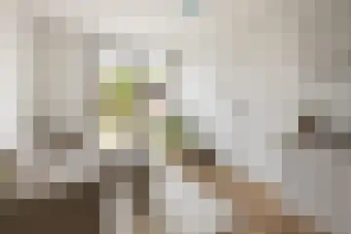 Jan van Zutphenlaan 21 Utrecht thumbnail 7