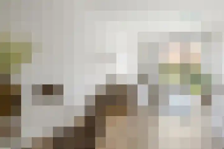 Jan van Zutphenlaan 21 Utrecht thumbnail 8