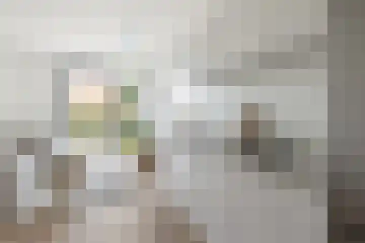 Jan van Zutphenlaan 21 Utrecht thumbnail 9