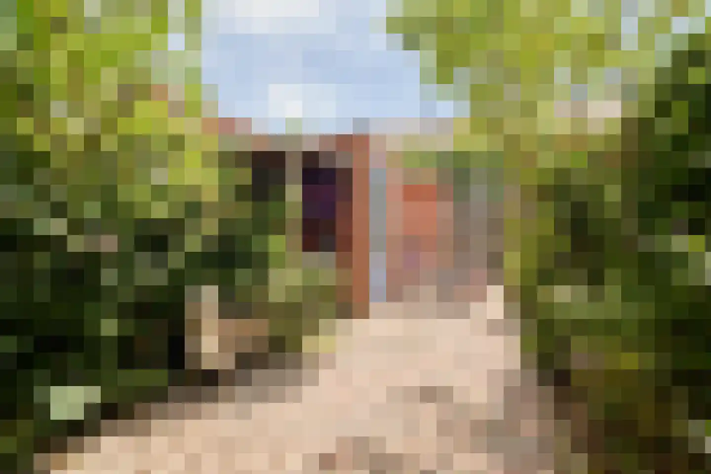 Jan van Zutphenlaan 33 Utrecht thumbnail 15