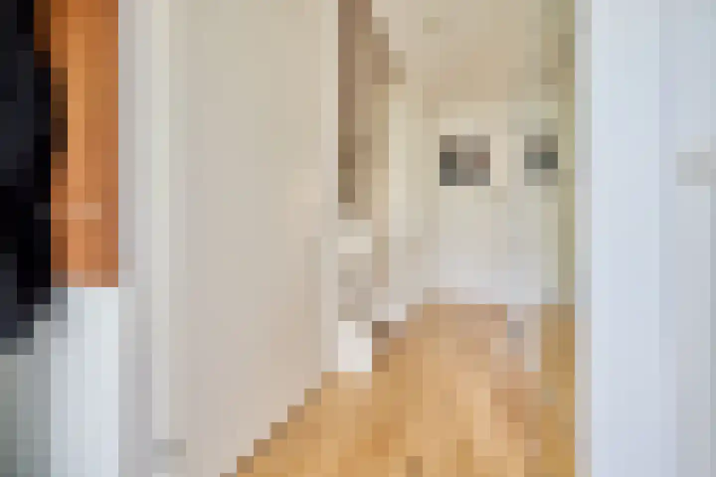 Jan van Zutphenlaan 33 Utrecht thumbnail 20